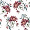 Seamless pattern with beautiful wine red peonies on white