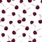 Seamless pattern with beauty cherries on white background.