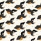 Seamless pattern with bird, bald eagle. Vector illustration