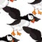 seamless pattern Bird deadlock Australian Atlantic in flight. Vector illustration