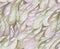 Seamless pattern with bird feathers. Hand drawn pencil drawing many abstract khaki green and pink feathers.