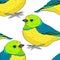 seamless pattern bird green organist Tanager family. vector illustration