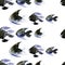 Seamless pattern of black Abstarct watercolor fish