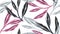 Seamless pattern, black, pink and white sharp leaves with branch on white background