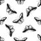 Seamless pattern with black and white common green birdwing, wallace`s golden birdwing