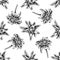 Seamless pattern with black and white edelweiss