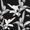 Seamless pattern, black white Ficus Elastica leaves on black background.