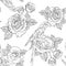 Seamless pattern black and white rose with leaves and macaw parrot for fashion textile, flower and bird vector illustration