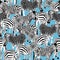Seamless pattern black and white zebra, wildlife animal vector illustration