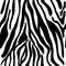 Seamless pattern with black zebra animal skin striped print texture fur