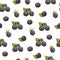 Seamless pattern with blackberries. White background, isolate. Vector illustration