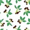 Seamless pattern of blackberry or raspberry. Berry background for textiles, wallpaper, sets of drawings, covers, surface