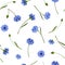 Seamless pattern with blue cornflowers. Vector illustration.