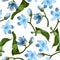 Seamless pattern with blue oxypetalum flowers, a white background.
