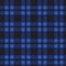 Seamless pattern of blue tartan.