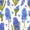 Seamless pattern with blue watercolor hyacinths on a white background.