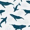 Seamless pattern of blue whales