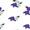 Seamless pattern with blue and white clematis