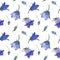 Seamless pattern with bluebell, spreading bellflower flowers Campanula patula, little bell, rapunzel, harebell