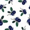 Seamless pattern with blueberries, line art illustration