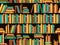 Seamless pattern with books, library bookshelf. Vector