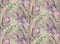 seamless pattern with a bouquet in boho style of dried flowers with protea flower