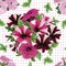 Seamless pattern, bouquet of petunias