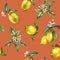 The seamless pattern of the branches of fresh citrus fruit lemons with green leaves and flowers.