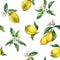 The seamless pattern of the branches of fresh citrus fruit lemons with green leaves and flowers.