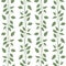 Seamless pattern branches and leaves of Camphor laurel. Floral background.