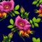 Seamless pattern of bright rose
