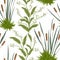 Seamless pattern with bulrush and swamp plants.