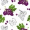 Seamless pattern with bunches of dark grapes, green leaves and black-white outline on white background.