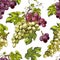 Seamless pattern with bunches of grapes engraving colored vector illustration.