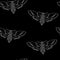 Seamless pattern of butterflies. Death`s head moth. Vector background