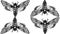 Seamless pattern. Butterfly Acherontia atropos dead head, adam's head. Black and white graphics handmade. Pattern