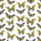 Seamless pattern with butterfly cicadas sketch, orange olive green gray and black contour isolated on white background. simple art