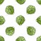 Seamless pattern cabbage food decoration. Vegetarian tasty natural. Healthy diet