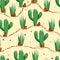 Seamless pattern with cactus with thorns, succulent on color background. Vector drawing illustration for icon, game