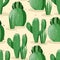 Seamless pattern with cactus with thorns, succulent on color background. Vector drawing illustration for icon, game