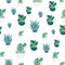 Seamless pattern of Cactuses and Succulents with funny. Editable elements, icons for textile, web.