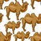 Seamless pattern Camel redhead smiling a cartoon. Vector illustration