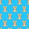 Seamless pattern with cartoon funny dog corgi sitting on blue background