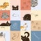 Seamless pattern of cats in different poses in sketch style. Fat cute cat lifestyle. Pets. The cat hissses, sleeps