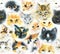 Seamless pattern with cats. Watercolor hand drawn illustration