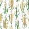 Seamless pattern with cereals. Barley, wheat, rye, rice and oat.