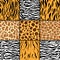 Seamless pattern with cheetah skin. vector background. Colorful zebra and tiger, leopard and giraffe exotic animal print