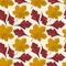 Seamless pattern with chestnut and hawthorn autumn leaves.