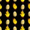 seamless pattern. chickens with eggs isolated on a black background