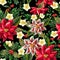 Seamless pattern with Christmas flowers. Vector,